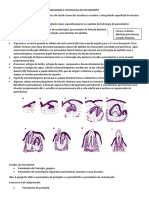 Anatomia e histologia do periodonto