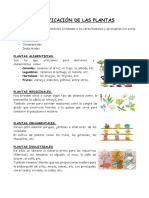 Clasificación de las plantas en alimenticias, medicinales, ornamentales e industriales