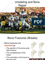 bone_remodeling_and_bone_repair (1).ppt