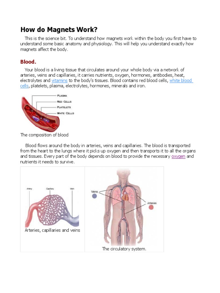 How Do Work PDF Inflammation Blood