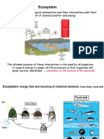 Ecosystem: Ultimately, For The Survival of The Species !!!