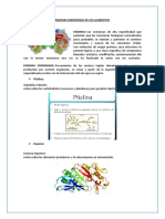 Enzimas de Anita Bioquimica