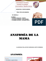 Sem - Patología Mamaria .