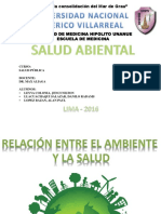 Seminario SALUD AMBIENTAL Salud Publica