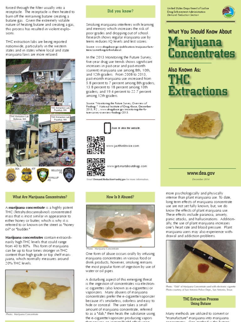 The Dangers of Marijuana Wax Cannabis (Drug) Psychoactive Drugs