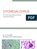 Citomegalovirus