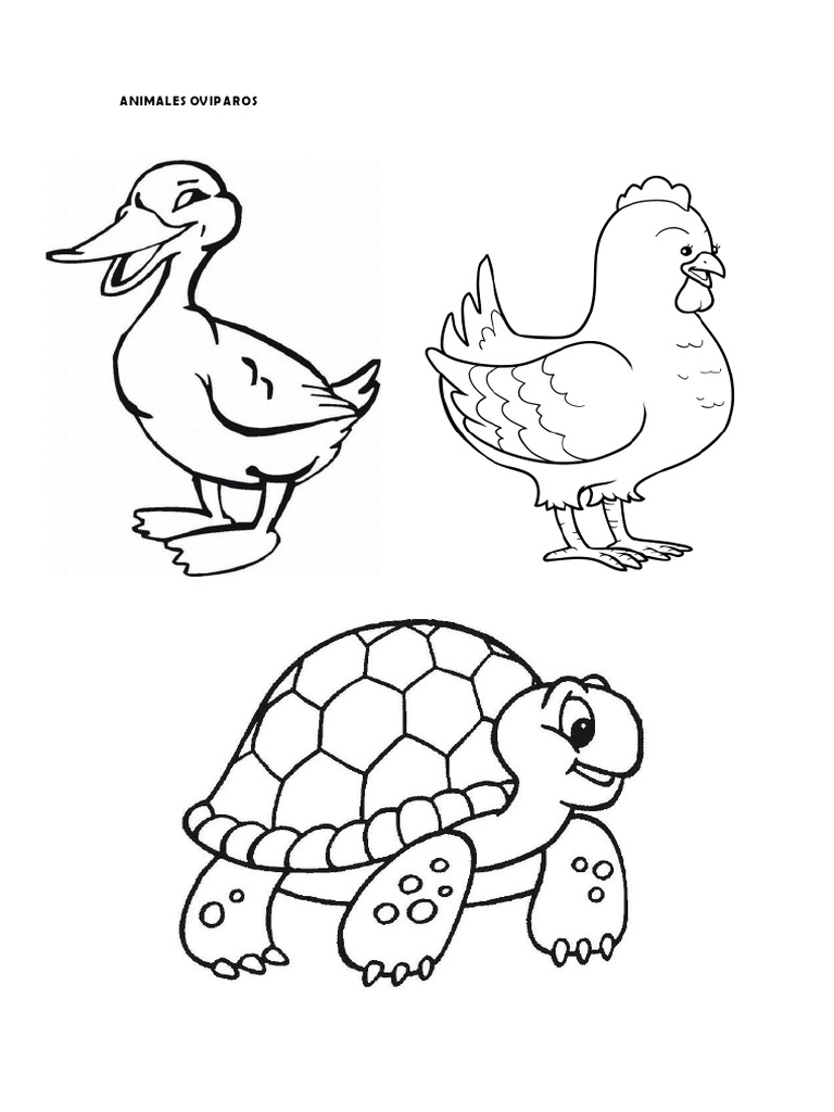 Animales Oviparos