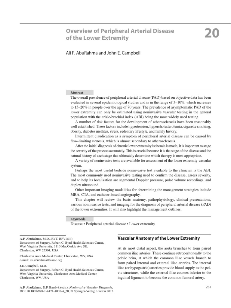 Overview of Peripheral Arterial Disease of The Lower Extremity | PDF ...