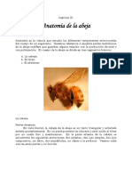 03-anatomia.pdf