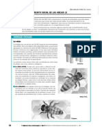 el comportamiento social.pdf