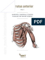 NMIT+-+Serrato+Anterior.pdf