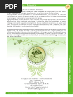 Botânica Oculta (em italiano)