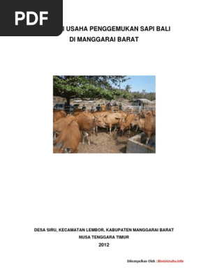 283731558 Proposal Usaha Sapi Potong Pdf