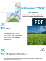 Naturamin-WSP ING Presentacion V3