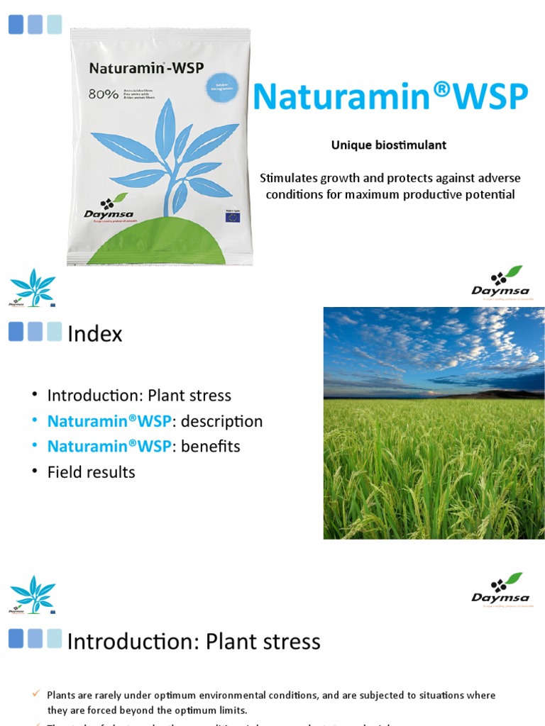 Naturamin-WSP ING Presentacion V3 | PDF | Biosynthesis | Plants
