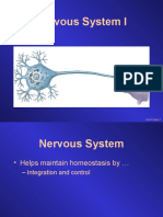 4 Nervous System I
