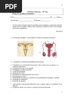 2ºTeste1ºperíodoA-TransmissãoDeVida 9º Ano