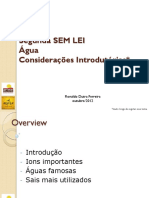 Água - Workshop.pdf