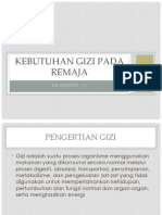 Gizi Pada Remaja