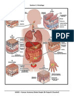 Histology 