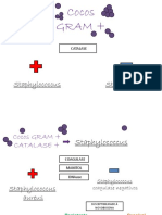 Mapa Microbio Relatorio 5 v2