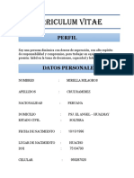 Curriculum Vitae