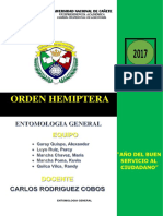 HEMIPTERA ACTUAL 2017.docx