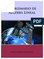 22 PROBLEMARIO DE ALGEBRA LINEAL-Aaron Aparicio Hernandez.pdf