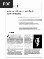 Valores, Atitudes e Satisfação No Trabalho