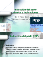 IDP Técnica e Indicaciones Curso La Fe 2013 CARMONA PDF