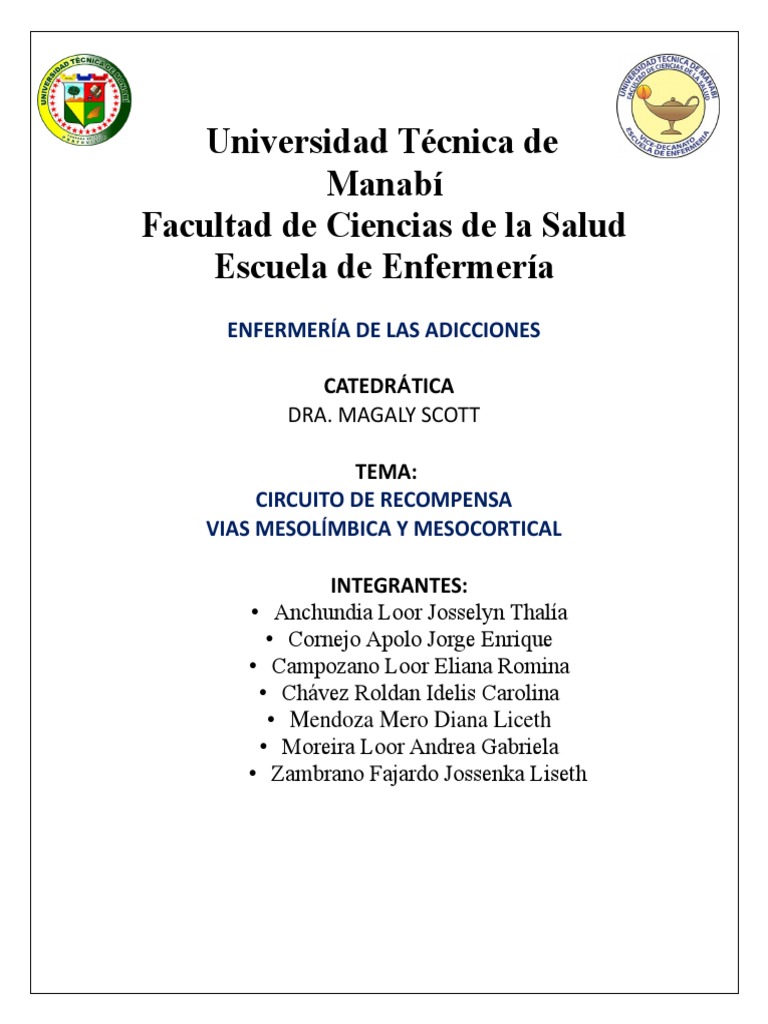 Vías Mesolimbica y Mesocortical PDF Dopamina Cerebro