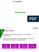 Tipos de ARN en 4 palabras