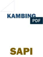 Kambing Dan Sapi