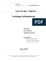 11lechugh.pdf