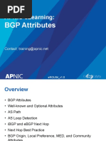 EROU04 BGP Attributes