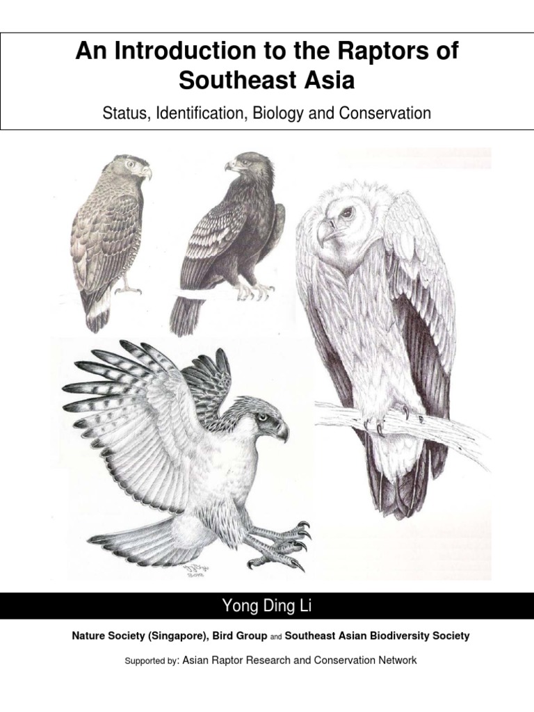 Introdution To The Raptors of Southeast Asia | PDF | Birds Of Prey | Eagle