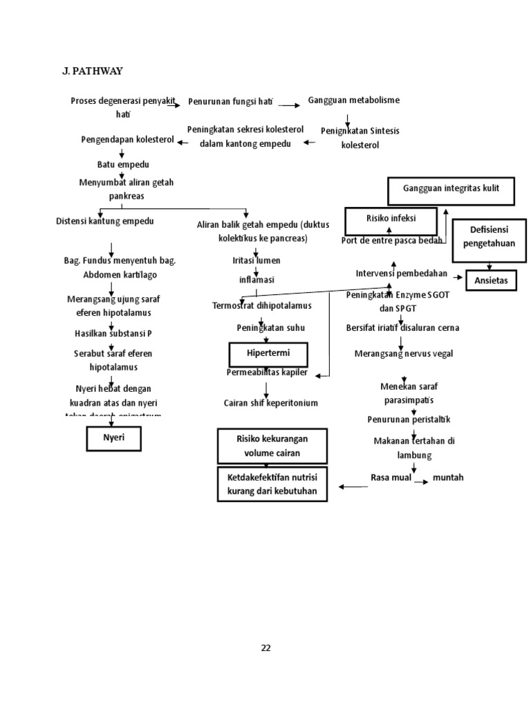 Pathway Kolelitiasis dan Manajemen Pasca Operasi | PDF