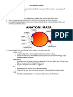 Sistem Panca Indera