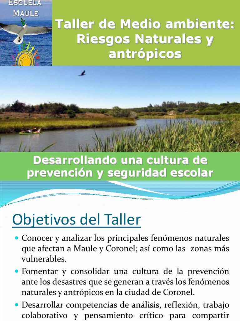 Taller de Gestión de Riesgo de Desastres | PDF | Temblores | Tsunami