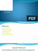 BioSel - Ribosom-1A