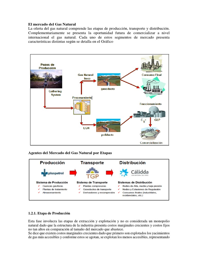 Mercado del Gas Natural en Perú: Etapas y Beneficios | PDF | Gas ...