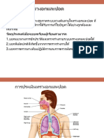 การประเมินทรวงอกและปอด