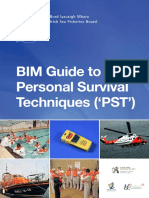 BIM, PST, Manual, 2013 PDF