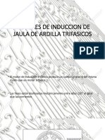 Motores de Induccion de Jaula de Ardilla Trifasicos