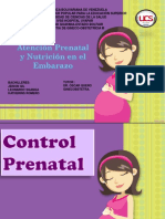 Control Prenatal 2018 PDF