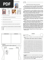 Maria Prototipo de Mujer