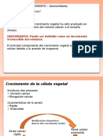 Crecimiento vegetal: generalidades sobre factores y medidas