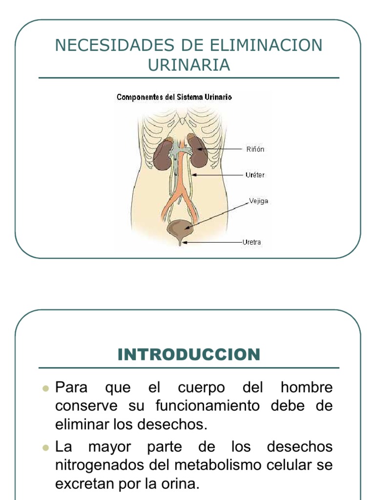 Eliminacion urinaria