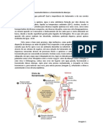 Saneamento Básico e A Transmissão de Doenças PDF