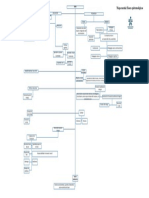 Mapa Mental Bases Epistemológicas